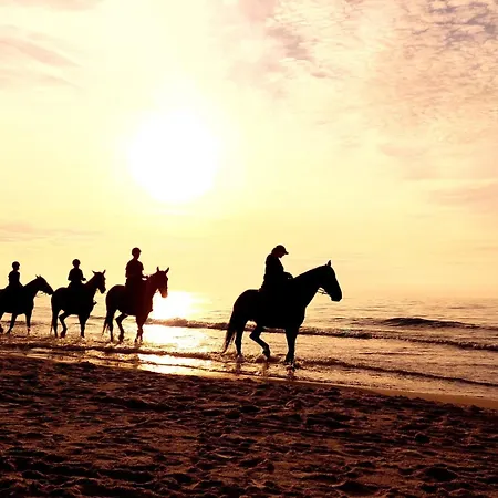 Mile Chwile Сasa de vacaciones