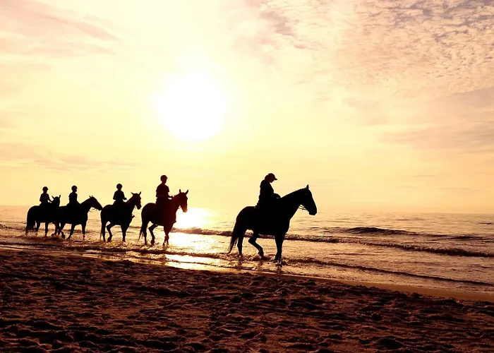 Mile Chwile بيت للعطل