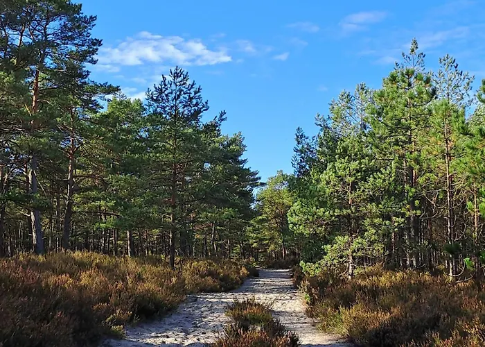 Mile Chwile بيت للعطل *